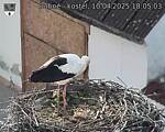 Capi_Dubne_20250410_180503.jpg
