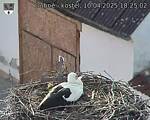 Capi_Dubne_20250410_182502.jpg