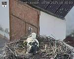 Capi_Dubne_20250410_183003.jpg