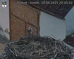 Capi_Dubne_20250410_200502.jpg