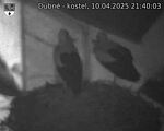 Capi_Dubne_20250410_214003.jpg