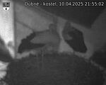 Capi_Dubne_20250410_215502.jpg