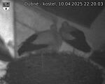 Capi_Dubne_20250410_222003.jpg