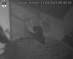 Capi_Dubne_20250411_004002.jpg