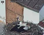 Capi_Dubne_20250411_103502.jpg