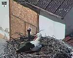 Capi_Dubne_20250411_132002.jpg