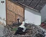 Capi_Dubne_20250411_135003.jpg