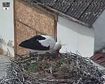 Capi_Dubne_20250411_141503.jpg