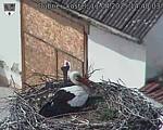 Capi_Dubne_20250411_144003.jpg