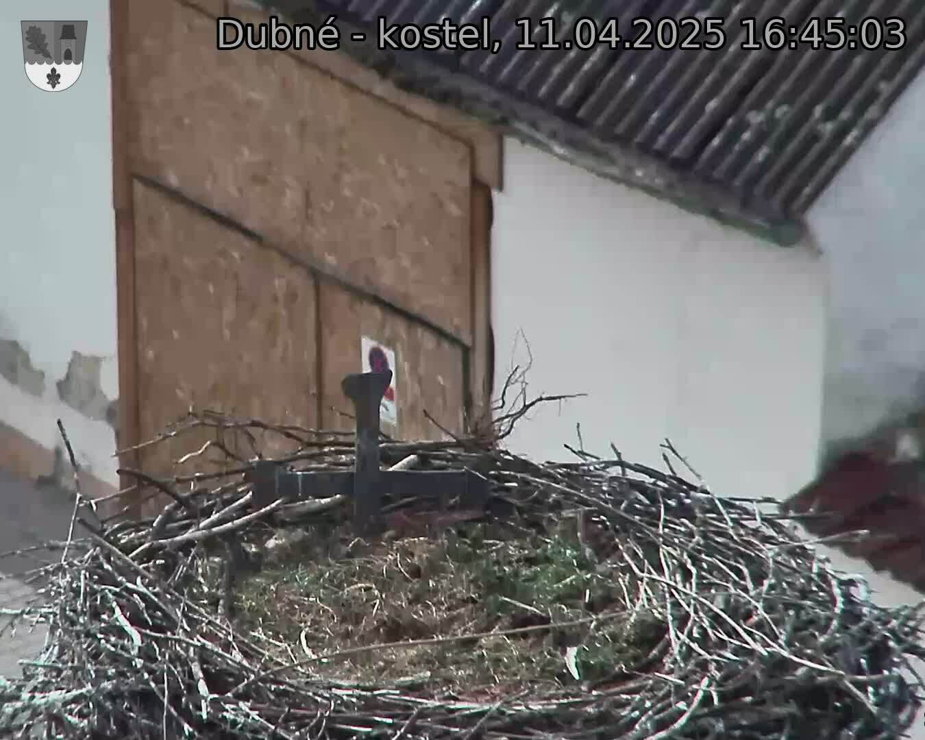 Capi_Dubne_20250411_164503.jpg (1350 x 1080)
