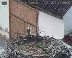 Capi_Dubne_20250411_170002.jpg