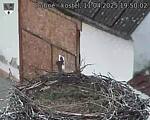 Capi_Dubne_20250411_195002.jpg