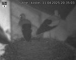 Capi_Dubne_20250411_203503.jpg