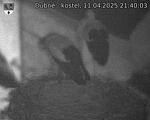 Capi_Dubne_20250411_214003.jpg