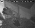 Capi_Dubne_20250411_222002.jpg