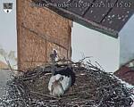 Capi_Dubne_20250412_101502.jpg