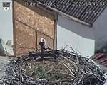 Capi_Dubne_20250412_144504.jpg