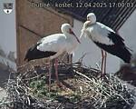 Capi_Dubne_20250412_170003.jpg