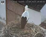 Capi_Dubne_20250412_190002.jpg