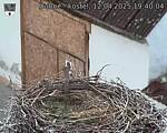Capi_Dubne_20250412_194004.jpg