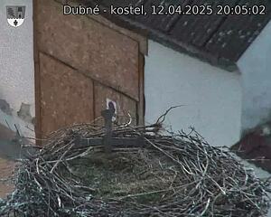 Capi_Dubne_20250412_200502.jpg (1350 x 1080)