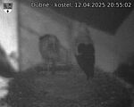 Capi_Dubne_20250412_205502.jpg
