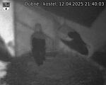 Capi_Dubne_20250412_214003.jpg