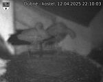 Capi_Dubne_20250412_221003.jpg