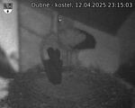 Capi_Dubne_20250412_231503.jpg