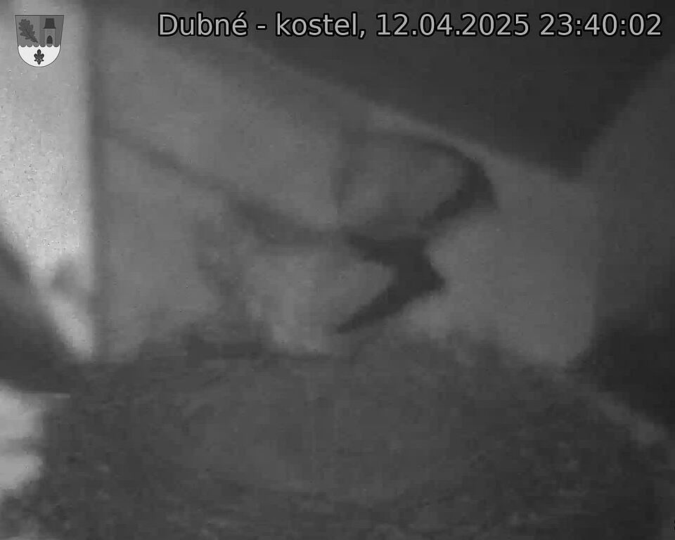 Capi_Dubne_20250412_234002.jpg (1350 x 1080)