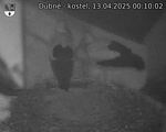 Capi_Dubne_20250413_001002.jpg