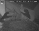 Capi_Dubne_20250413_003003.jpg
