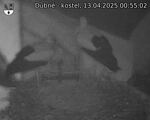 Capi_Dubne_20250413_005502.jpg