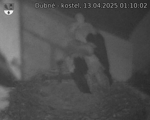 Capi_Dubne_20250413_011002.jpg (1350 x 1080)