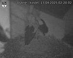 Capi_Dubne_20250413_022002.jpg