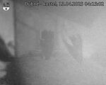 Capi_Dubne_20250413_041502.jpg