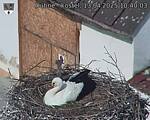 Capi_Dubne_20250413_104003.jpg