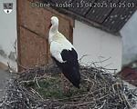 Capi_Dubne_20250413_162503.jpg