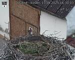 Capi_Dubne_20250413_163003.jpg