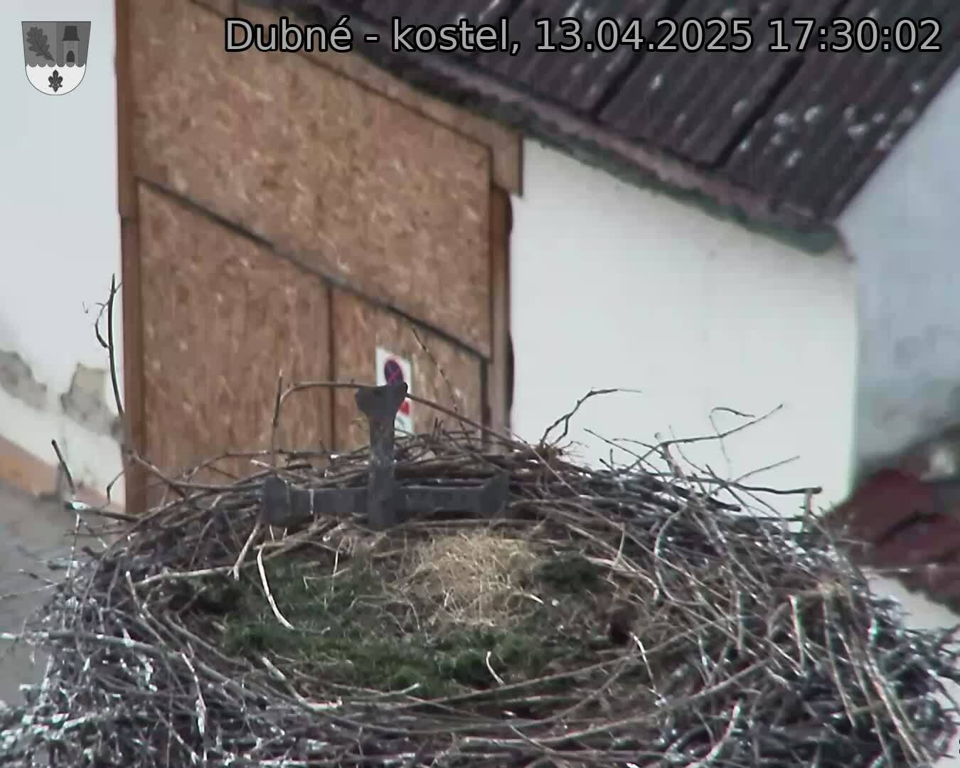 Capi_Dubne_20250413_173002.jpg (1350 x 1080)