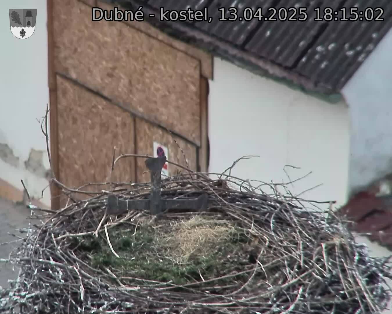 Capi_Dubne_20250413_181502.jpg (1350 x 1080)