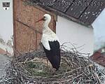 Capi_Dubne_20250413_192502.jpg
