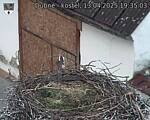 Capi_Dubne_20250413_193503.jpg
