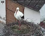 Capi_Dubne_20250413_195002.jpg