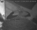 Capi_Dubne_20250413_205002.jpg
