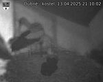 Capi_Dubne_20250413_211002.jpg