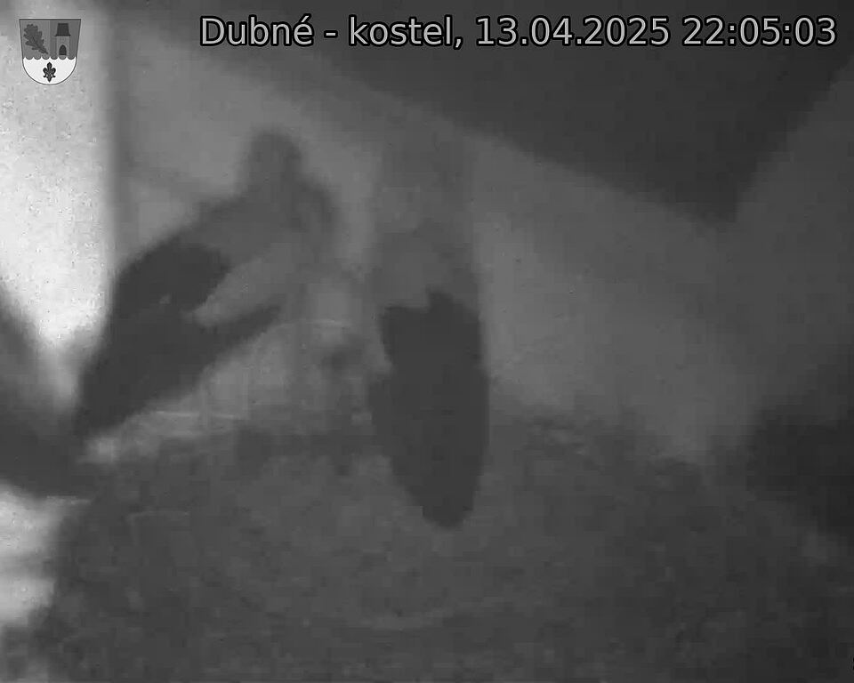 Capi_Dubne_20250413_220503.jpg (1350 x 1080)
