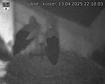 Capi_Dubne_20250413_221003.jpg