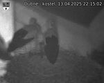 Capi_Dubne_20250413_221502.jpg
