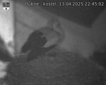 Capi_Dubne_20250413_224502.jpg